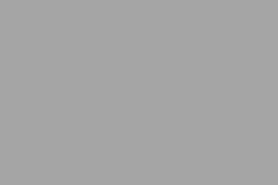 Oberflächenmuster RAL 9006 · Weißaluminium